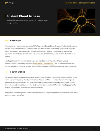 Instant Cloud Access solution brief